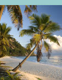 North Island Seychelles view